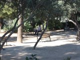 IMG 8064