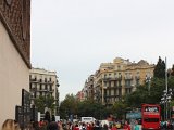 IMG 8111