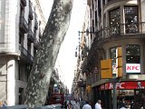 IMG 8292