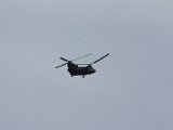 IMG 7987