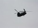 IMG 7988